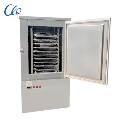 China Restaurant Fan Shock Cooling Freezer For Food Ready Ice Cream Makers Making Commercial for sale