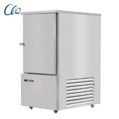 China New Commercial Restaurant Model 300liter Capacityfull Refrigirstor Blast Portable Refrigerator for sale