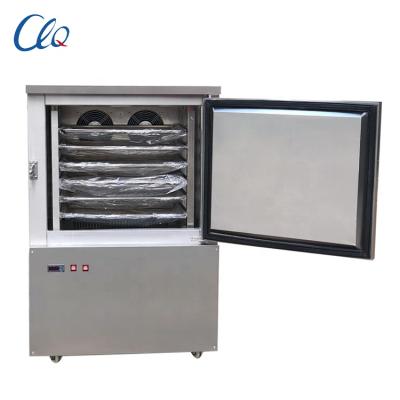 China Hot export restaurant small price forced air freezer for chicken+8615377702427 for sale