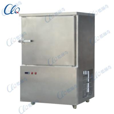 China Restaurant Blast Freezer Industrial Meat R404a Air Cooling Deep Freezer for sale