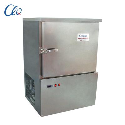 China food & Quick Beverage Factory Seafood Chicken Ice Cream Air Cooled Chiller Blast Freezer for sale