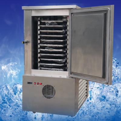 China Hot Sale CYLD-300L Commercial Restaurant Blast Freezer On Sale Fish Freezer for sale