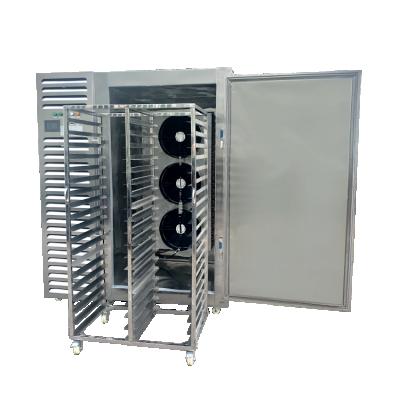 China Fast 8KW 1100L Restaurant Deli Air Cooling Pork Meat Freezing Machine Price for sale