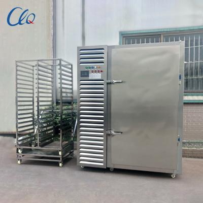 China Good restaurant quality 3P 380V50HZ big blast fridge freezer for sale for sale