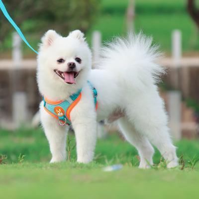 China Small Large Reflective Breathable Comfortable Outdoor Fashion Pet Dog Product Pet Dog Harness Leash Set for sale