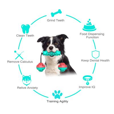 China Sustainable Interactive Pet Dog Toy Dog Agility Training Equipment Puzzle Toy Custom TPR Pet Dog Interactive Movement Chew Toys for sale