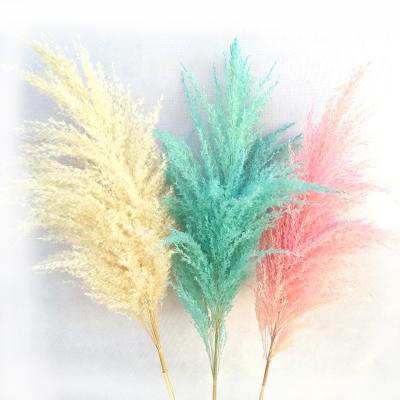 China MSFAME Wedding Arch Design Flowers Dry Gray Dried Flowers Pampas Grass Decor for sale