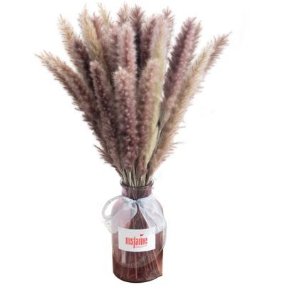 China Hot sale flower pampas grass decor pampas wedding dried flowers small dried flowers for sale