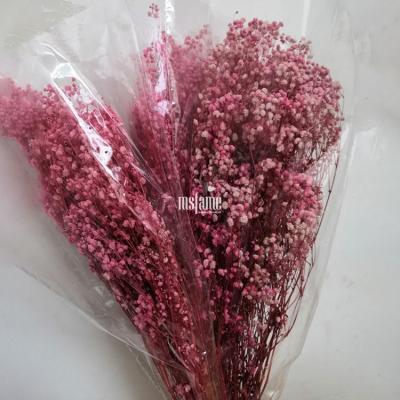 China Wholesale Baby's Breath Dried Wedding Popular Colorful Baby's Breath Flower Dried Flower Set for sale