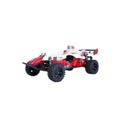 China 1/5 Proportion Remote Control Car RC Hobby Hot Products BAHA 305FX With CE Certificate for sale