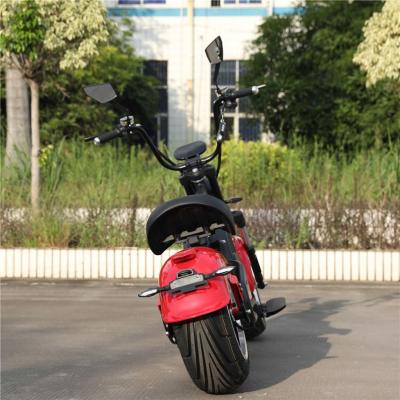 中国 China Unisex New Products Nzita Electric Motorcycle Two Seat Bike E Bicycle For Rent 販売のため