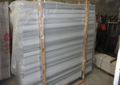 China White And Grey Marble Stone Slab Marble Wall Panels For Showers Huge Size for sale