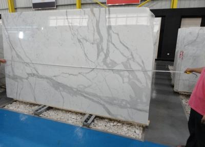 China Morden Design Italy Calacatta Marble Slab , Marble Wall Slab 20mm Thickness for sale