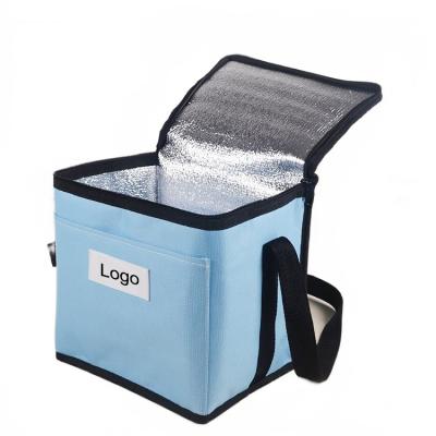 China Reusable Customize Logo Polyester Zipper Shoulder Thermal Insulation Fabric Cooler Bags For Lunch Food for sale