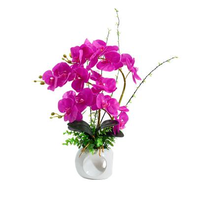 China Pu Valentine's Day Phalaenopsis flower wool  pot artificial flower arrangement bonsai for sale