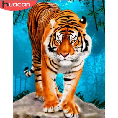 China HUACAN Modern Hand Painted Tiger Animal Drawing On Canvas Art Gift DIY Oil Painting Coloring By Number Kits Home Decor for sale