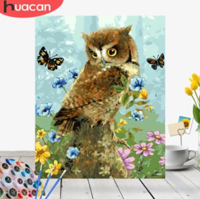 China HUACAN Modern Pictures By Numbers Owl Animals Hand Painted Kits Drawing Canvas Oil Painting Home Decoration DIY Gift for sale