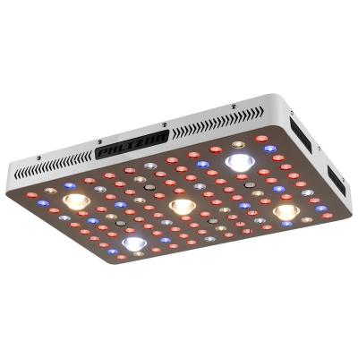 China Seed Starting Phlizon 1000w 2000w 2500w 3000w COB Led Grow Light Full Spectrum For Commercial Greenhouse Hydroponics Plant Lighting for sale