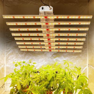 China Seed Starting Phlizon 400w 640w 800w High Power Samsung Led Grow Strip Light For Indoor Plants for sale