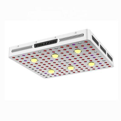 China Full Spectrum Grow Light Phlizon 1000w 2000w 3000w Full Spectrum 380-780nm COB Led To Grow Light Kit For Greenhouse Horticulture And Indoor Plants for sale