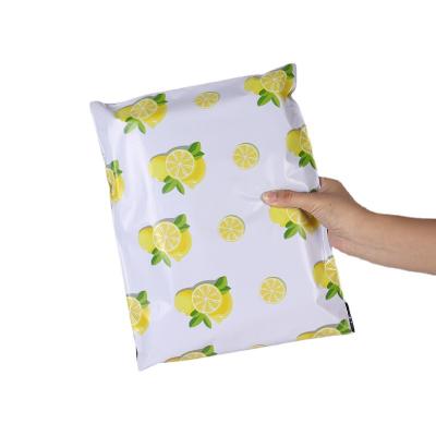 China 10x13 Inch Strong Adhesive Mail Send Bags Custom Design Poly Mailers Eco-Friendly LDPE Co-Ex Shipping Envelopes Mailing Bags for sale