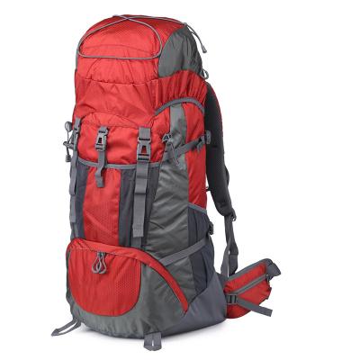 China Waterproof Outdoor Travel Sport Trekking Camping Backpack Backpacking Traveling Climbing Hiking Backpacking Bag Travel for sale