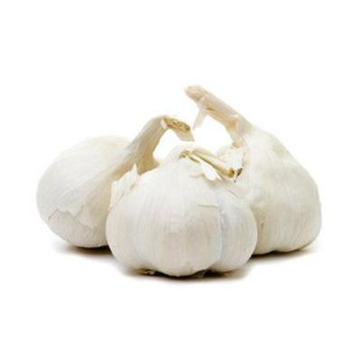 China Natural Fresh Healthy Natural Fresh Raw Garlic White Red Garlic 50 mm for sale