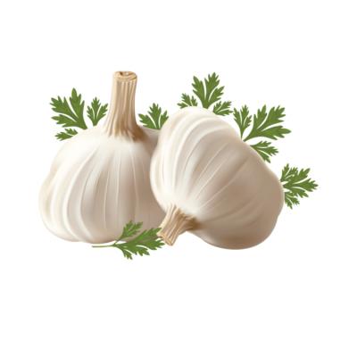 China 2022 export fresh normal white fresh garlic volume for sale factory fresh white garlic 5.5cm for sale