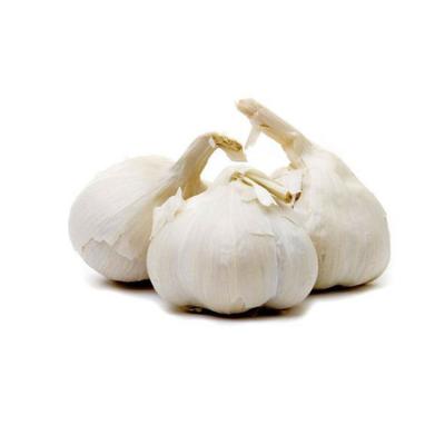 China 5.0-5.5cm fresh, 5.5-6.0cm, 6.0-6.5cm fresh china garlic fresh porter garlic specification new for sale