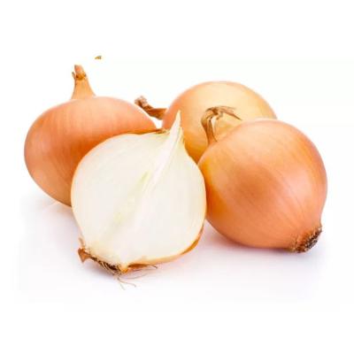 China 2022 Season New Fresh Organic Onions Vegetables 5-7cm Export Fresh Natural Yellow Onion For Supermarket for sale