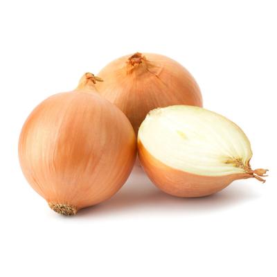 China Wholesale fresh fresh onion 8-13cm new season bulk YELLOW onion exports wholesale price for sale