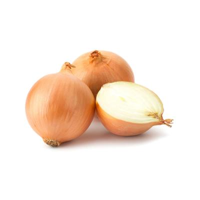 China Wholesale fresh plump fresh onion import-export China fresh and sweet YELLOW onion for wholesale for sale