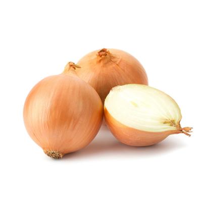 China 3-5cm Natural Yellow Onion Porcelain Onion Small Fresh Fresh Onion Exporters And Sweet Red Purple for sale