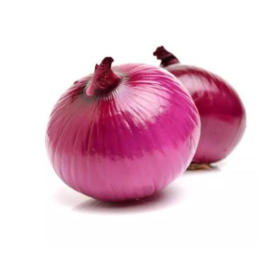 China 50mm fresh and sweet size fresh red purple onion China import-export fresh onion for sale