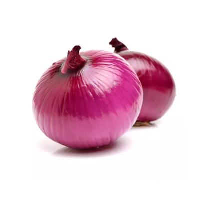 China Small Fresh Onion Wholesale Exporters Lowest Price Fresh And Sweet Red Purple Onion for sale