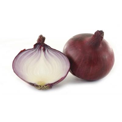 China 2021 new crop fresh natural red purple onions and fresh purple 50mm sweet size red onions for sale