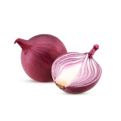 China Specification and fresh price Ton Fresh Onion Export In 5-8CM in Mesh Bags Red Onions from china at wholesale price for sale