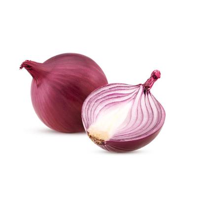 China 2022 Season New Export Fresh Natural Fresh Shallot Onion In 5-8CM In Mesh Bags Natural Fresh Red Onion for sale