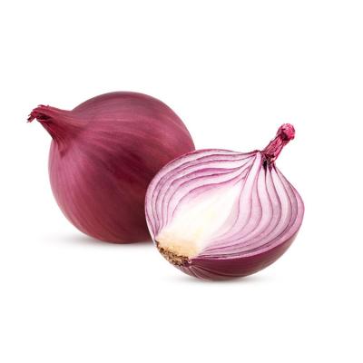 China China Import-Export Fresh Fresh Onion 5-8CM Fresh Red Onion Exporters A Grade In Mesh Bags for sale