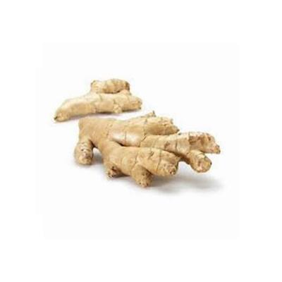 China New Culture Fresh Ginger Best Price Chinese Organic Fresh Ginger for sale