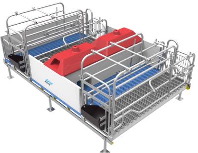 China Farms Pig Farm Equipment Stall System Crate Pig Farrowing Pen For Sale for sale