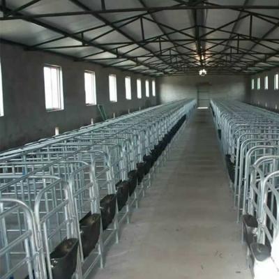 China High quality easily assembled pregnant sow gestation crate pig gestation crate in animal cage for sale for sale