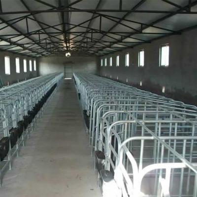 China Easily Collected High Quality Wholesale Galvanized Pipe Sow Cages Stall Pig Gestation Crate for sale