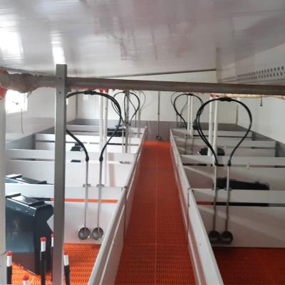 China Professional Wholesale Swine Pregnant Sow Nursery Breeding Crate for sale