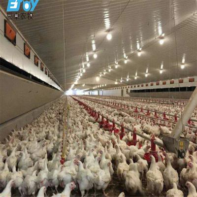 China One Stop Service Outstanding Quality Full Set Automatic Broiler Poultry Chicken Farming House Control Shed Equipment for sale