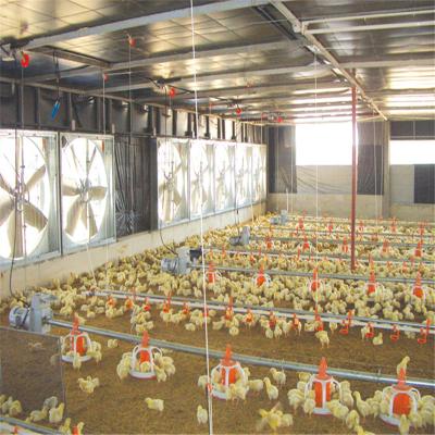 China Outstanding Farm Tunnel Duct Poultry Farm Poultry Farm Equipment Full Automatic Broiler Chicken Machinery Supplier For Sale for sale