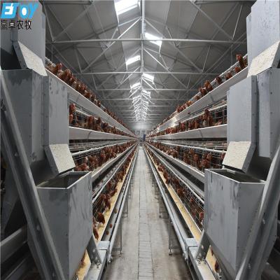 China Chicken Feeding Equipment One Frame Battery Layer Chicken Cage Rearing System for sale