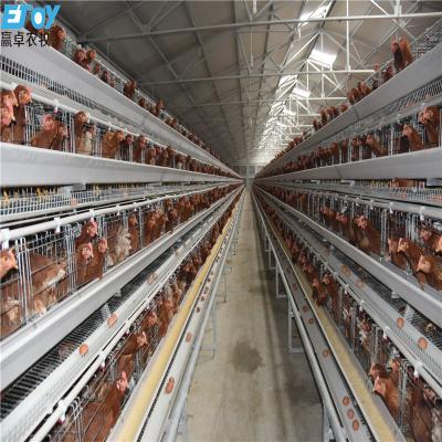 China Standard Top Layer Cage Poultry Equipment Egg Layer Chicken Cage For Sale for sale