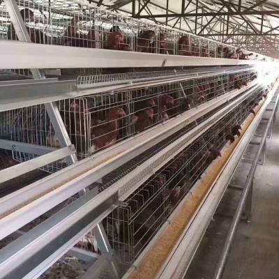 China layer cage system chicken layer cage system for sale chicken layer cage for sale poultry cage for sale