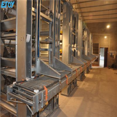 China Commercial Chicken Feeding H Frame Poultry Farm Equipment Fully Automatic Chicken Layer Battery Cage System for sale